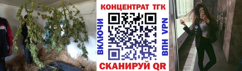 ТГК гашишное масло  Купить  Суздаль 