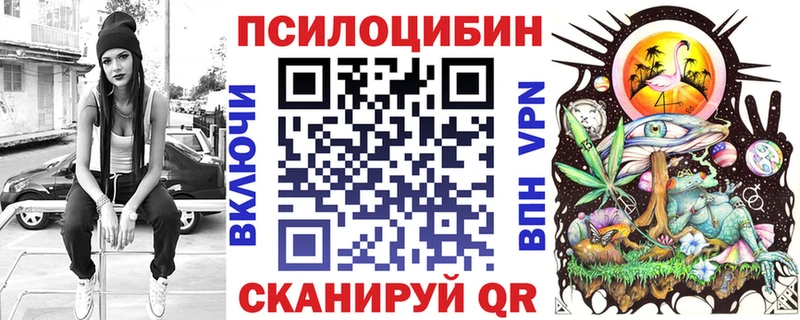 Купить закладки  Суздаль  Псилоцибиновые грибы MAGIC MUSHROOMS 