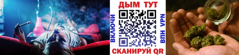 Купить закладки  Суздаль  Шишки марихуана SATIVA & INDICA 